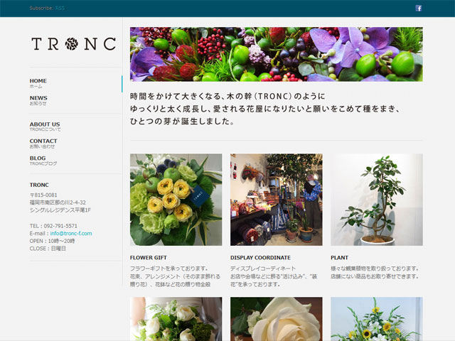 TRONCホームページがオープンしました。